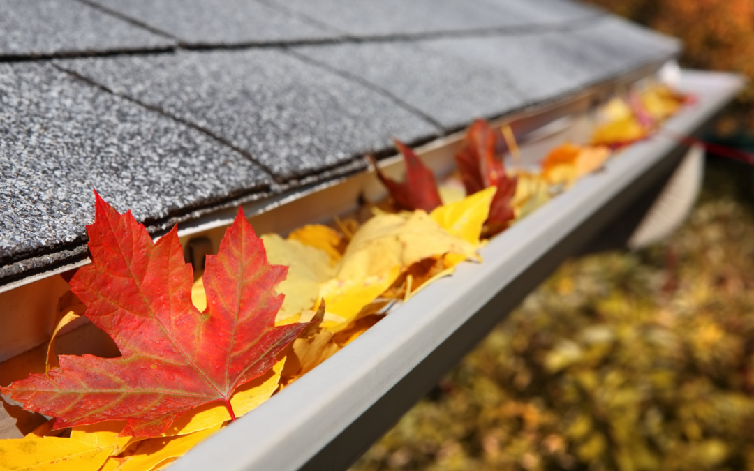 Tips for Property Managers on building a Stellar Fall Preventative Maintenance Plan